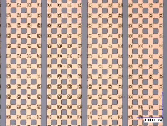 バンプアレイの顕微鏡写真