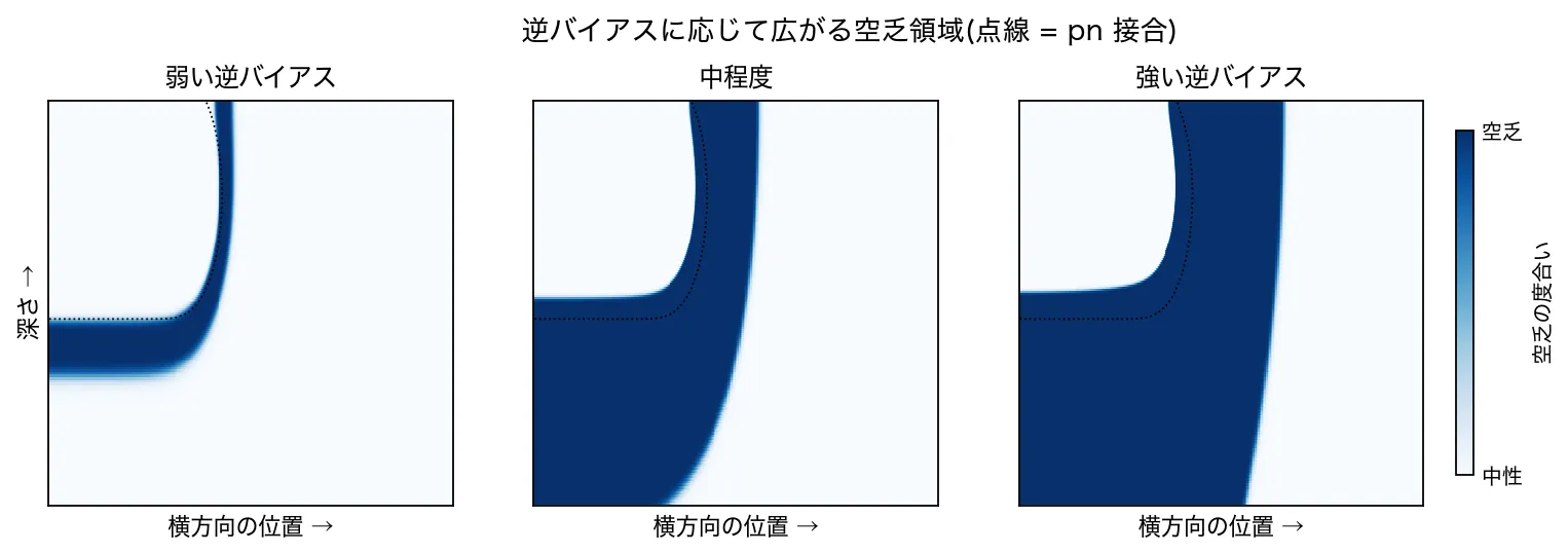 バイアスに応じて広がる空乏領域の図