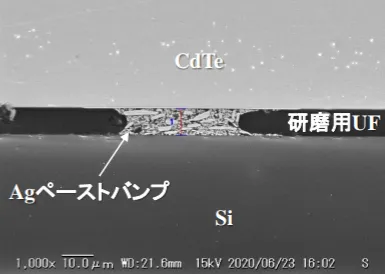 Agペーストバンプ接合部の断面SEM写真