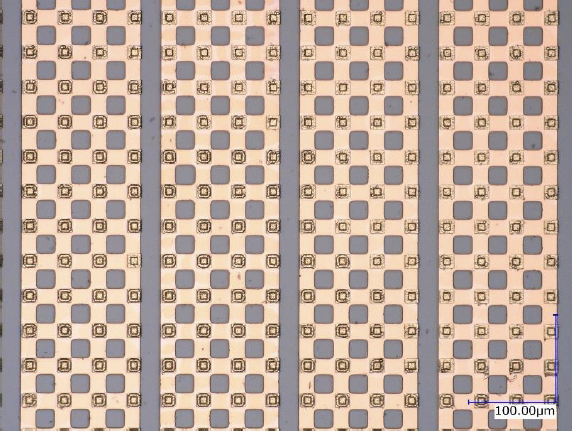バンプアレイの顕微鏡写真