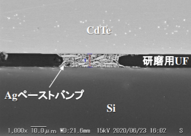 Agペーストバンプ接合部の断面SEM写真