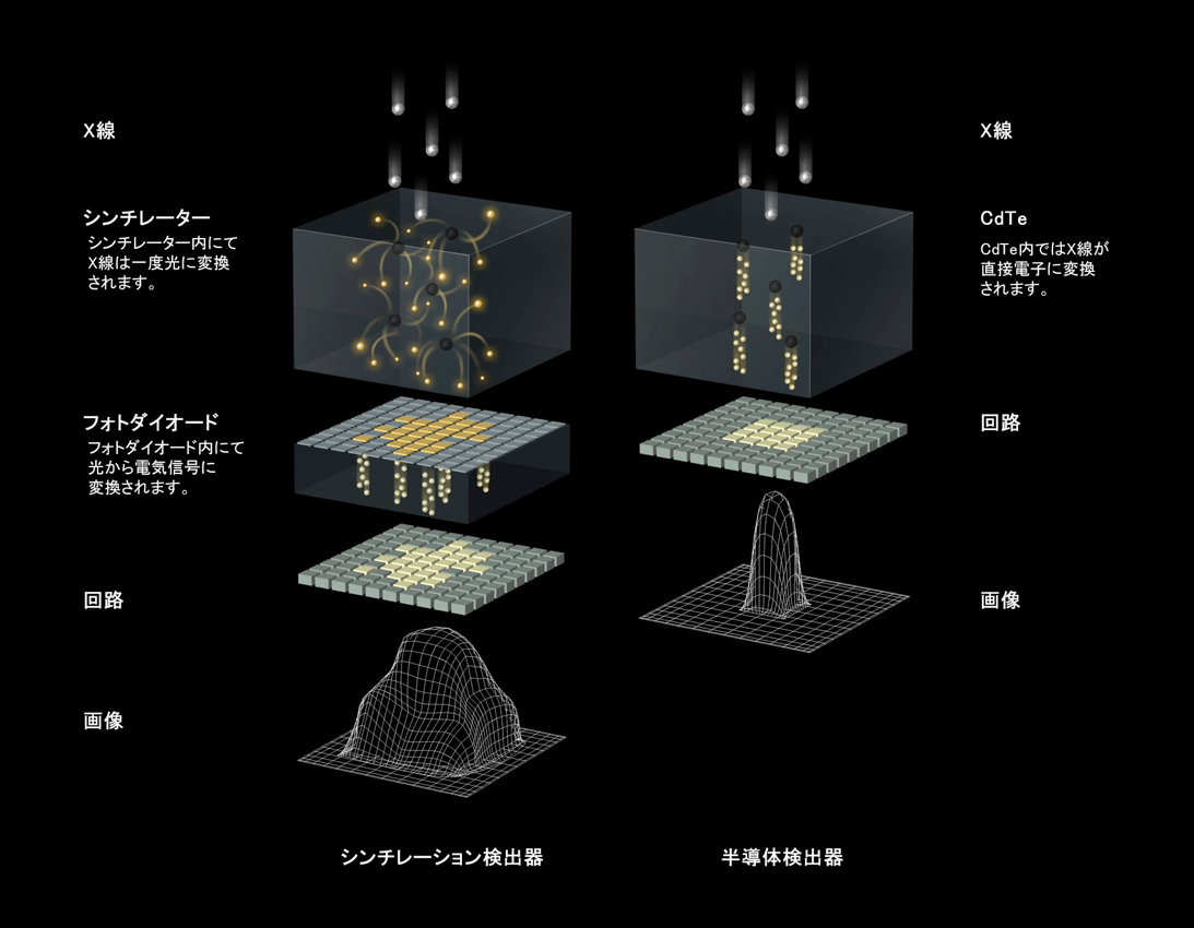 シンチレーション検出器と半導体検出器の原理比較